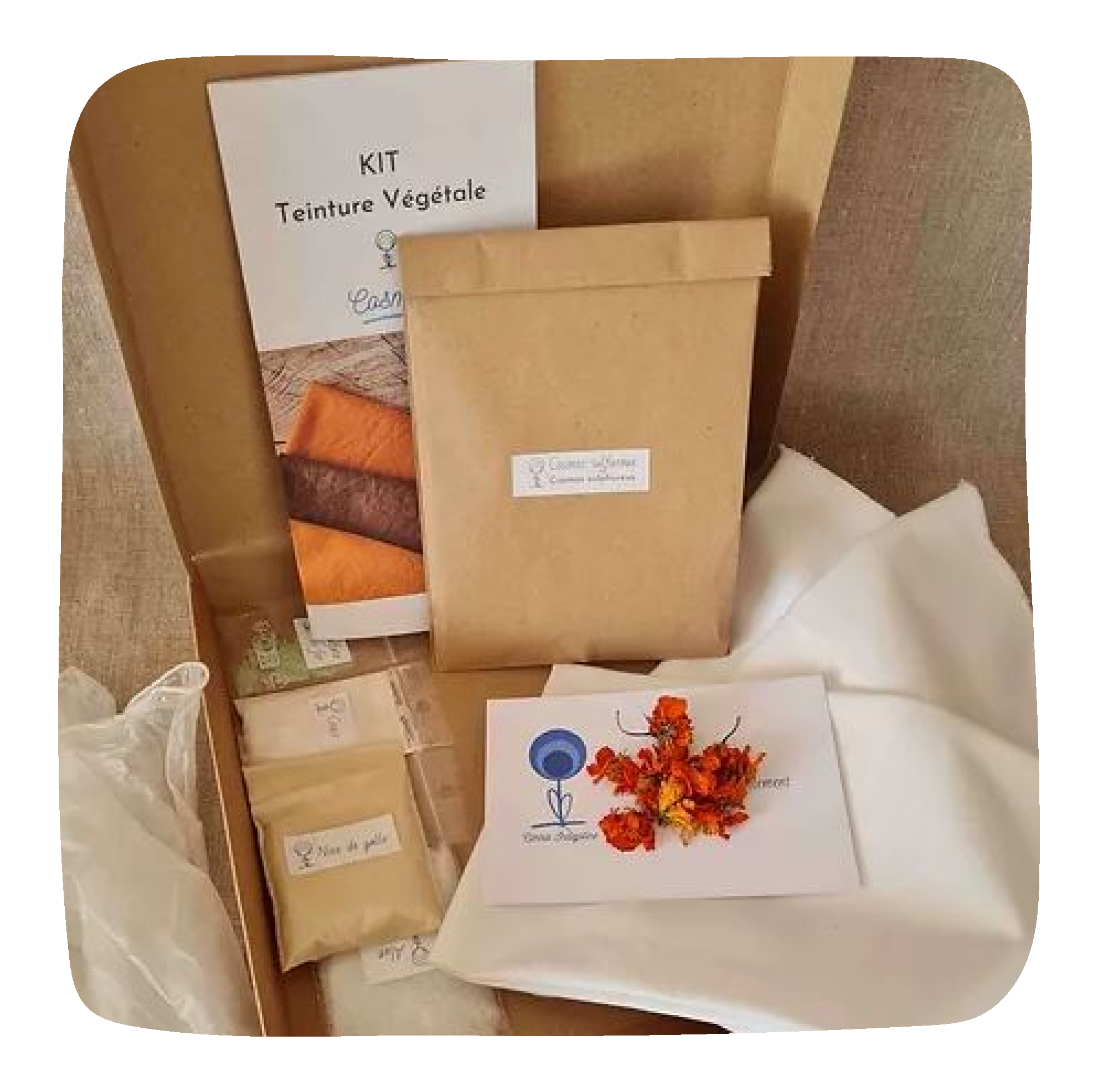 Kit teinture végétale
